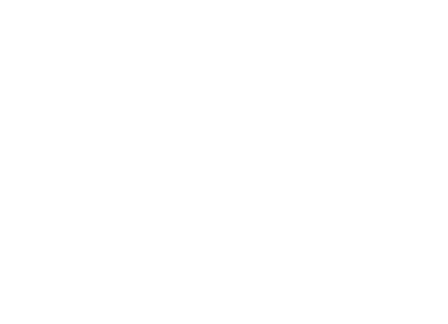 Logo Surfmuseum Fehmarn
