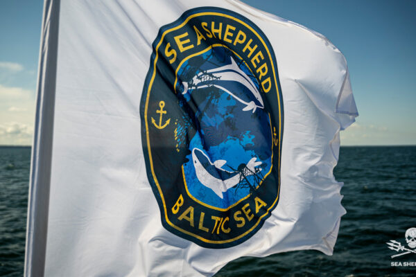 20210805_BS21_TD_Baltic_Sea_Campaign_Flag_DSC6450 20210805_BS21_TD_Baltic_Sea_Campaign_Flag_DSC6450