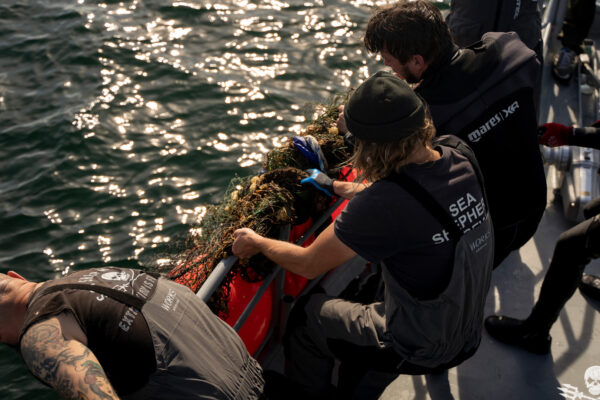 210615_BS21_RM_Net_Pick_Up_DSC0918 210615_BS21_RM_Net_Pick_Up_DSC0918